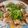 Cooksnap dari Restu Dewi untuk resep Cilantro Lime Chicken (Ayam Panggang Daun Ketumbar) pakai teflon