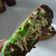 Cooksnap dari Ely susana (elysketo) untuk resep Pukis Tape #ketopad