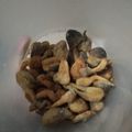 Cooksnap dari Miauw Wina untuk resep Jamur Sawit Krispi