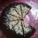 Cooksnap dari Astri Budiati untuk resep Brownies kukus sederhana