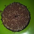 Cooksnap dari fitri untuk resep Brownies Oreo (hanya 2 bahan!)