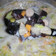 Cooksnap dari Melyanty Ardina untuk resep Sup Mutiara