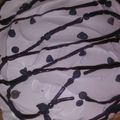 susanmelton333's cooksnap of when they made Easy Peanut Butter Pie.
