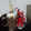 El cooksnap de luciapereyra90 cuando hizo Chocolate Caliente Estilo Ned Flanders.