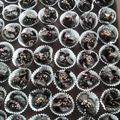 Cooksnap dari Galeri Batik Yogya untuk resep Corn Flakes Coklat #PrRamadhan_KuKirainiKukis