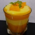 Bhavna C. Desai का कुकस्नैप जब उन्होंने मैंगो मिल्क मलाई शेक (mango milk malai shake recipe in Hindi) बनाया था।
