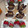 El cooksnap de NajiNaji cuando hizo Lujoso fakkas de chocolate sin horno (galletas marroquís).