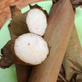 Cooksnap dari asih wijayanti untuk resep Lontong daun pisang hemat gas (5307)