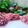 Cooksnap dari ROZA untuk resep Mie Telur Beet