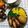 May 的 炒玉米 cooksnap
