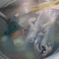 Cooksnap dari galih untuk resep Sop Ayam Ala Pak Min Klaten