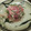 Nicole 's cooksnap of when they made Burrito casserole.
