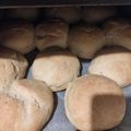 Olga Cserna Cooksnap-ja, amikor elkészítette a(z) Zsömle (nagyon puha) receptet.