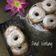 Cooksnap dari yovi yana untuk resep Donat kentang NCC