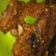 Cooksnap dari Mia Yunianti untuk resep Balado tongkol