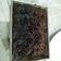 Cooksnap dari Rapan untuk resep Brownies Cokelat Simple dan Enak