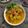 Cooksnap dari Badoci untuk resep Kepala ikan Cod Palumara
