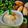 Cooksnap Norashikin Rahmat semasa beliau membuat Pengat Pisang.