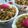Pooja M. Pandit 's cooksnap of when they made Moong dal Halwa.