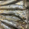 Xi 的 烤柳葉魚（烤箱） cooksnap