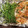 Cole Eason's cooksnap of when they made Oven baked tilapia and asparagus.