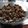 El cooksnap de sonja cuando hizo Cañaíllas cocidas.