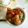 Cooksnap dari Ma2 Khansa A.N untuk resep Ayam Goreng saus Tiram