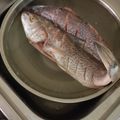 El cooksnap de Joan Gurides cuando hizo Pescado frito.