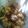 Cooksnap dari Rahma's Kitchen untuk resep Sup Kimlo