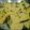 Mahi gandhi's cooksnap of when they made Dhokla.