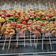 Cooksnap dari Selvi Sujianto untuk resep Dakkochi (Sate Ayam ala Korea)