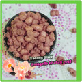 Cooksnap dari Ummu Filzah untuk resep Kacang Disco / Kacang Kribo