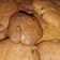 El cooksnap de Cook_and_Jud cuando hizo Cookies con chocolate.