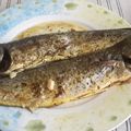 Cooksnap από tzoulitsa στη συνταγή Ψάρια ψητά