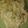 Vaishali Arora's cooksnap of when they made White sauce pasta.
