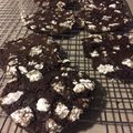 Hallie Maney's cooksnap of when they made Chocolate Crinkle Cookies.