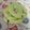 Adhiaty Ariefianie's cooksnap of when they made Vickys St Patricks Day Minty Green Cookies GF DF EF SF NF.