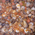 El cooksnap de Maria Garcia cuando hizo Caracoles en salsa.