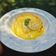 Cooksnap dari Habib Rizqi untuk resep Floating Island