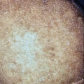 El cooksnap de Natalia Lasalandra cuando hizo Tarta de coco y dulce de leche.