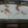 El cooksnap de Iso AquIno cuando hizo Arroz con leche.