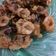 Cooksnap dari Dinna Syahbania untuk resep Calamari - Cumi Goreng Tepung Crispy
