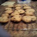 jmsickrey.10's cooksnap of when they made Chocolate Chip Cookies.