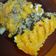 El cooksnap de Carolina Espinoza cuando hizo Pastel de carne, papa y zapallo.