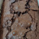Cooksnap dari Dessy untuk resep Gluten Free Fudge Brownie