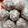 Cooksnap από Στέλλα Π.Β. στη συνταγή Energy balls με δαμάσκηνα αποξηραμένα και κακάο!!
