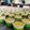 Cooksnap dari putri shima untuk resep 204. Puding Lumut Mentega