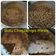 Cooksnap dari Ummu Alkhalid untuk resep Bolu Panggang Nutrijel Plain tabur Choco chip