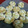 El cooksnap de blanco_cba cuando hizo Galletas típicas de Marruecos de almendras y coco.