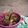 Cooksnap dari Anjang Yudistri untuk resep Bebek lou (bebek kecap chinese)